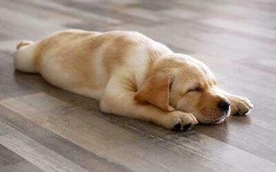 5 RAISONS DE CHOISIR LE PLANCHER CHAUFFANT