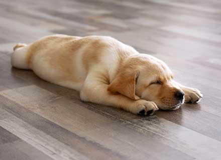 5 RAISONS DE CHOISIR LE PLANCHER CHAUFFANT