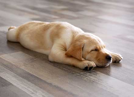 Pourquoi choisir un plancher chauffant ?